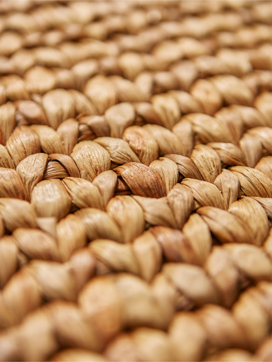 Bajo plato de mimbre (Pack de 6)