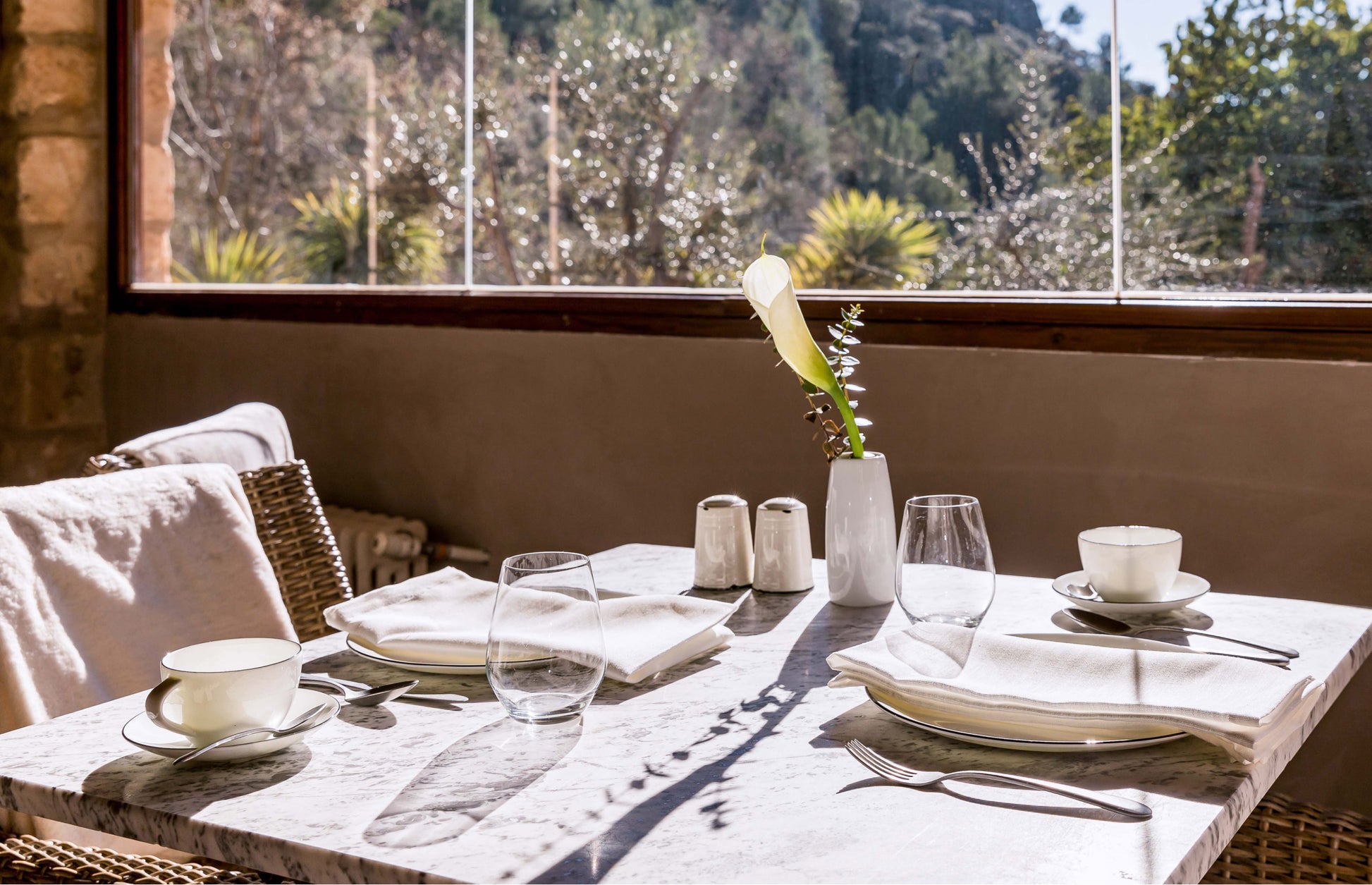 Vaso Temptation (Pack de 6)